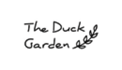 the duck garden@300x-100